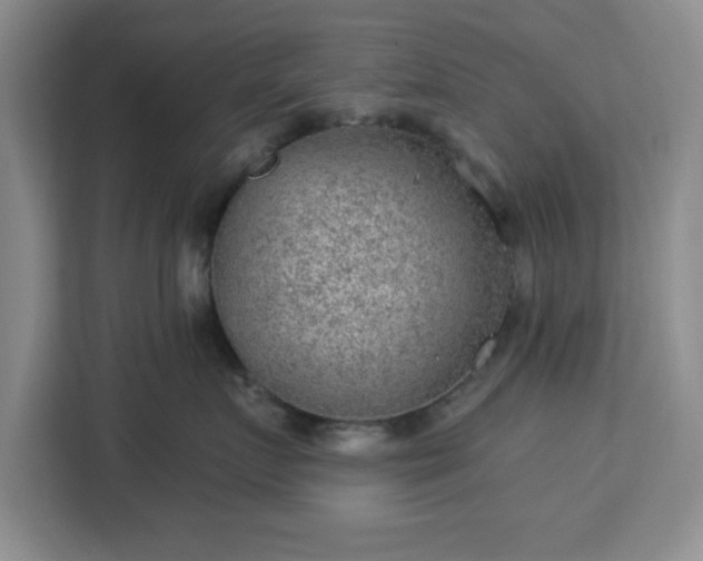 X0000112920719200908311257