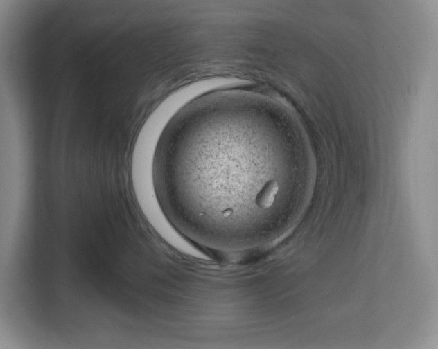 X0000112920720200908311257