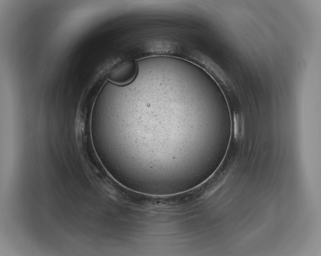 X0000112920723200908311256