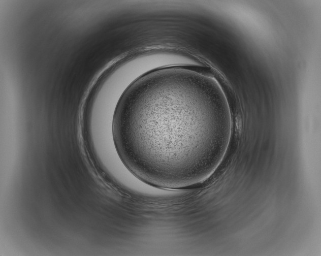 X0000112920724200908311256