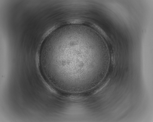 X0000112920725200908311256
