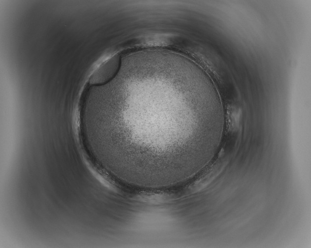 X0000112920726200908311256
