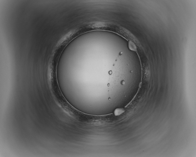 X0000112920732200908311256