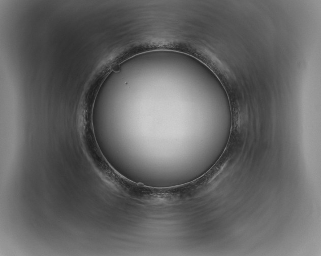 X0000112920736200908311257
