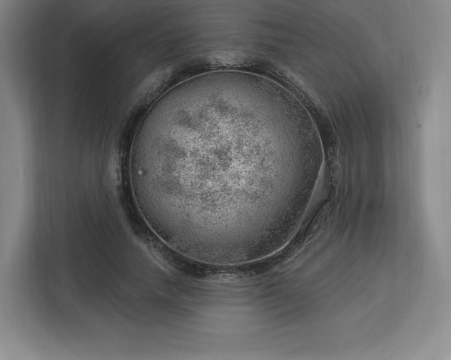 X0000112920738200908311257