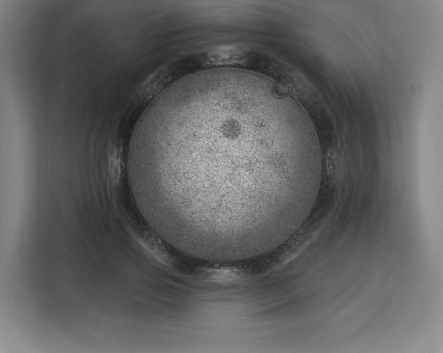 X0000112920741200908311257