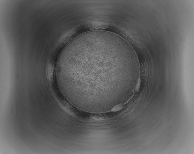 X0000112920742200908311257