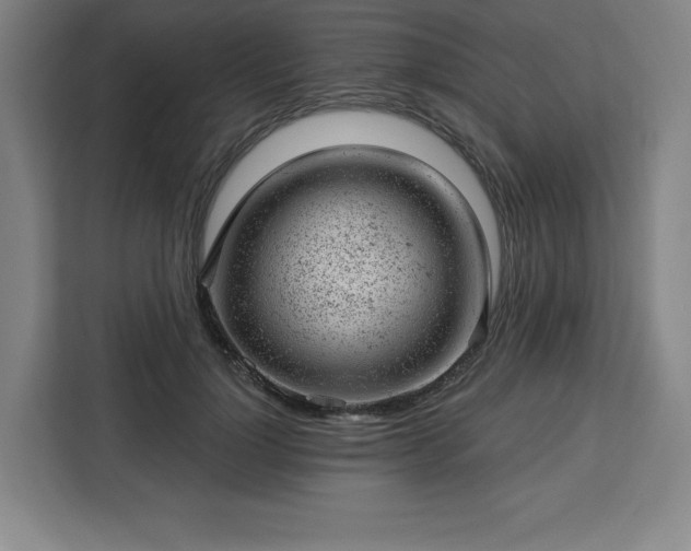 X0000112920748200908311257