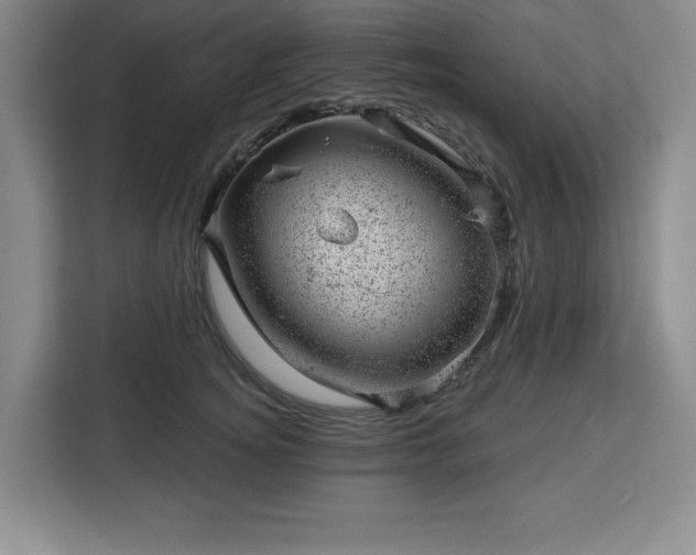 X0000112920756200908311257