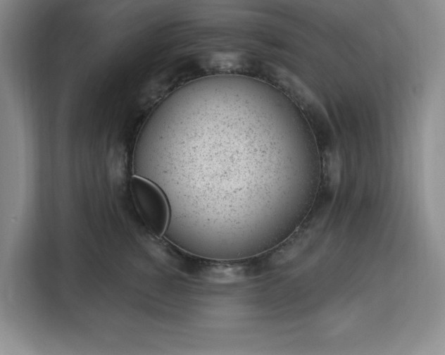 X0000112920760200908311257
