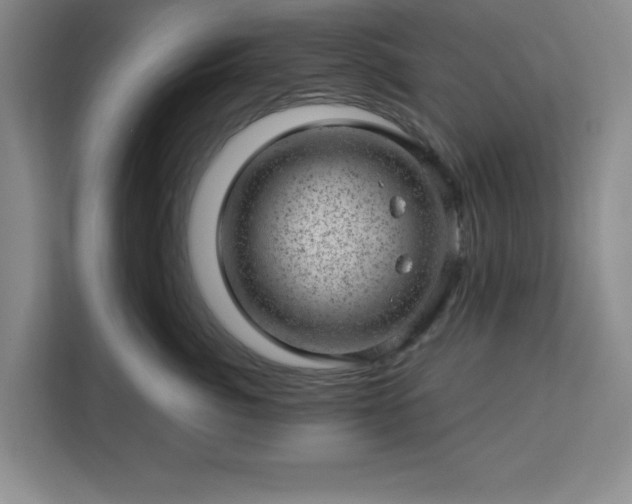 X0000112920764200908311257