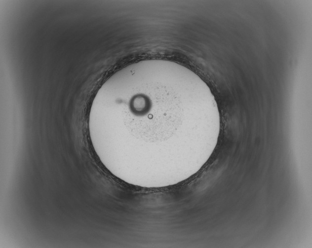 X0000112920769200908311256