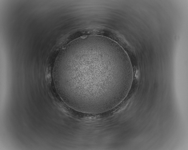 X0000112920771200908311256