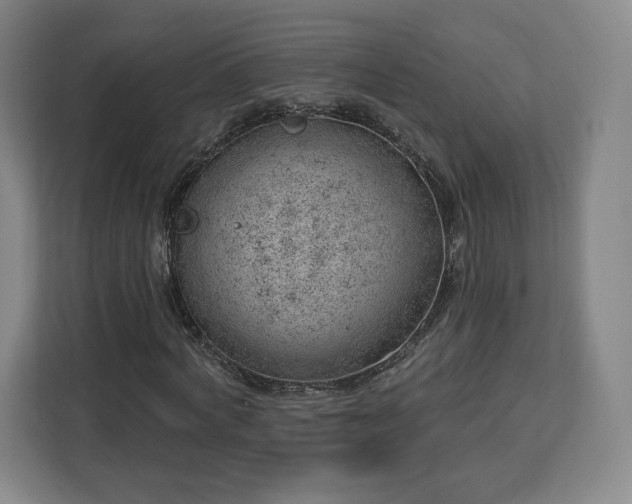 X0000112920772200908311256
