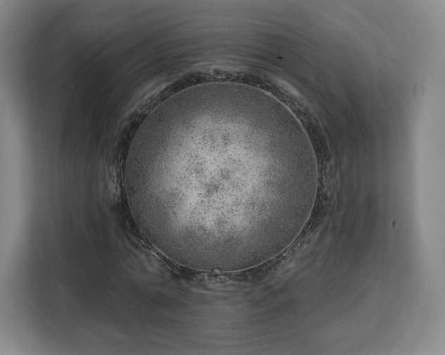 X0000112920774200908311256