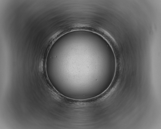 X0000112920777200908311256