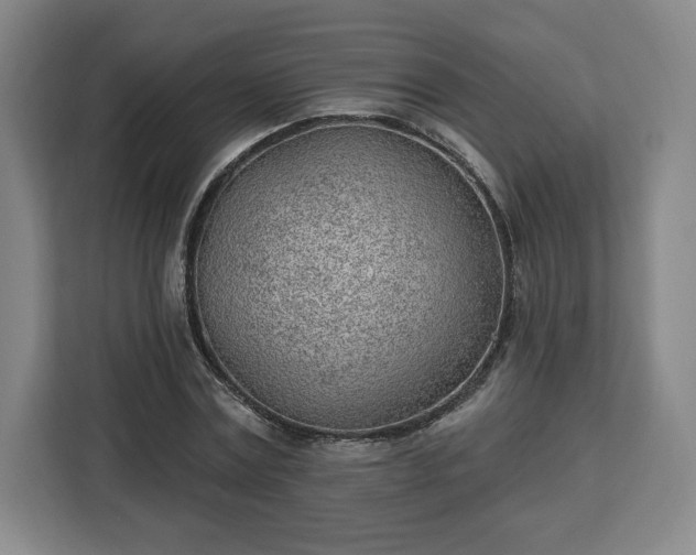 X0000112920779200908311256