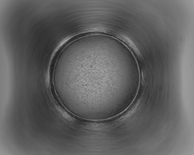 X0000112920780200908311256