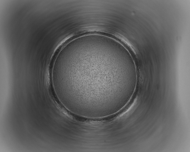 X0000112920782200908311256
