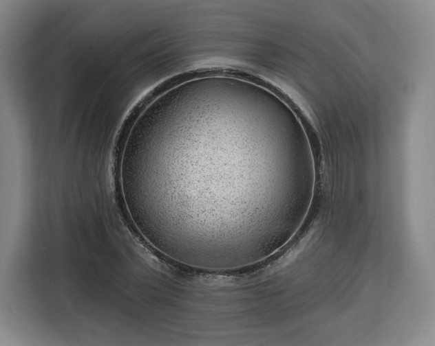 X0000112920783200908311256