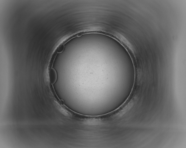 X0000112920789200908311256
