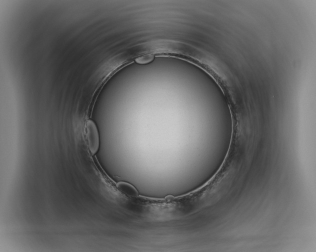 X0000112920793200908311256