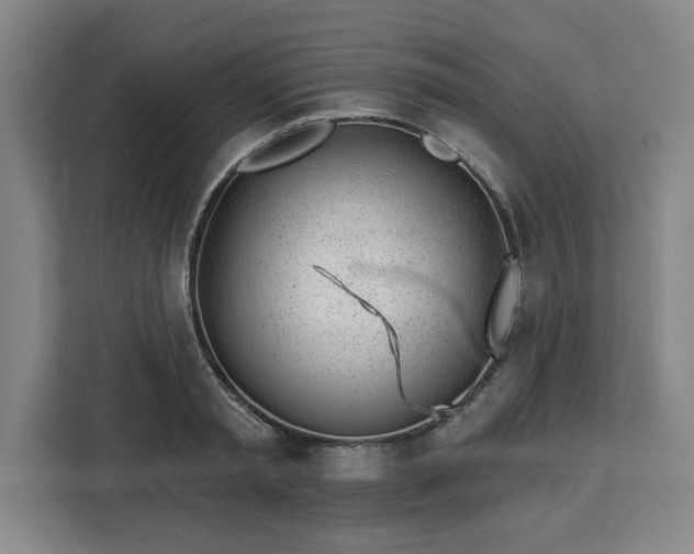 X0000112920797200908311256