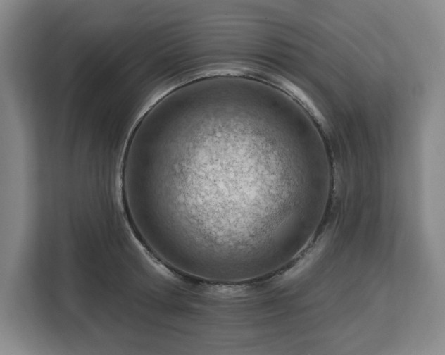 X0000112920802200908311256