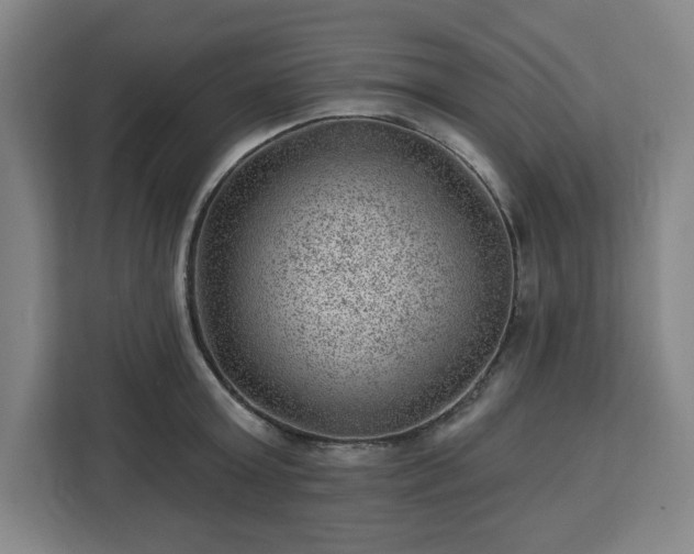 X0000112920803200908311256