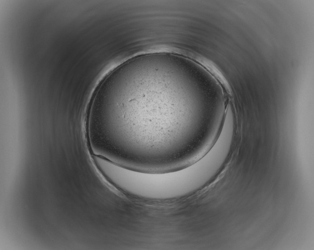 X0000112920805200908311256