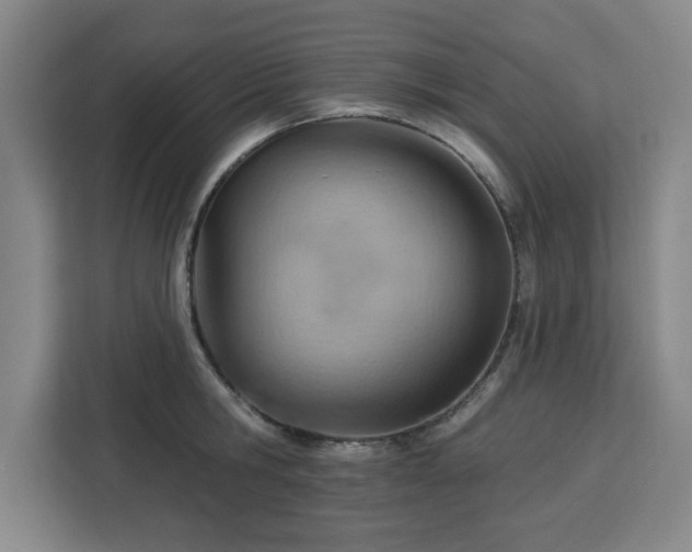 X0000112920806200908311256