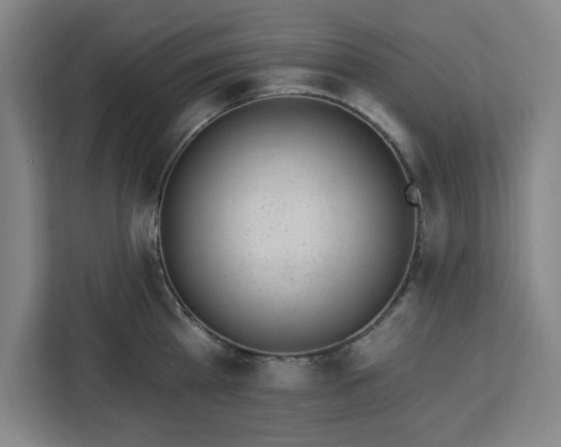 X0000112920809200908311256
