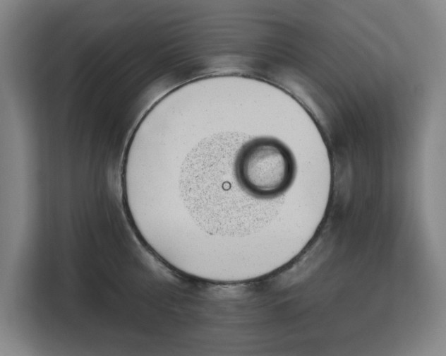 X0000112920810200908311256