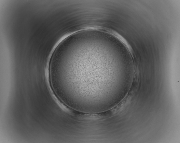 X0000112920811200908311256
