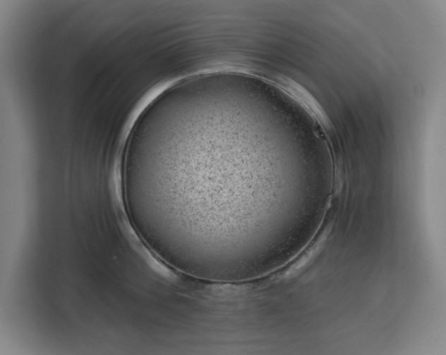 X0000112920812200908311256