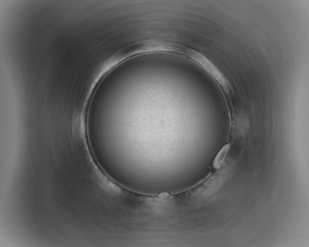 X0000112920813200908311256
