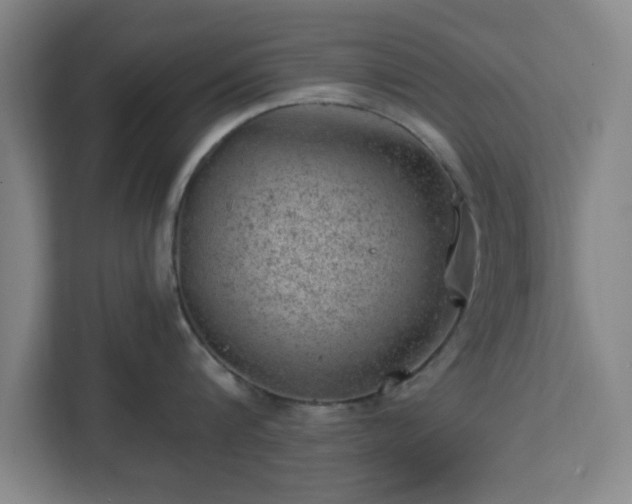 X0000112920816200908311256