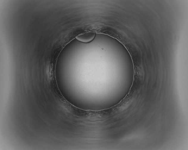 X0000112920818200908311255