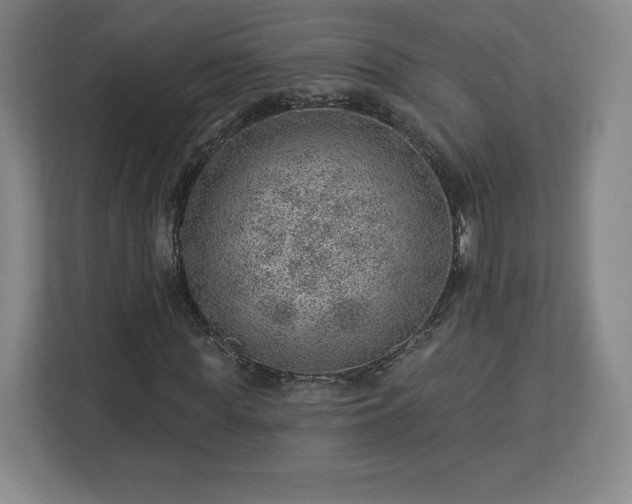 X0000112920819200908311255