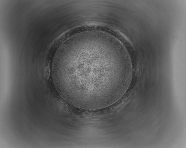 X0000112920821200908311255