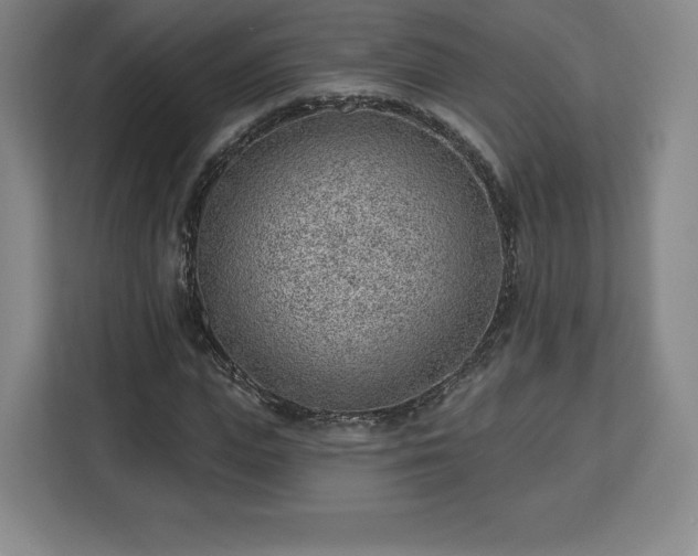 X0000112920823200908311255