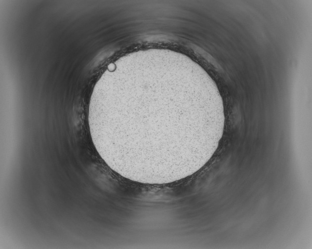 X0000112920824200908311255