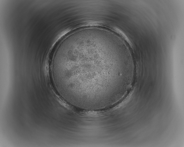 X0000112920827200908311255