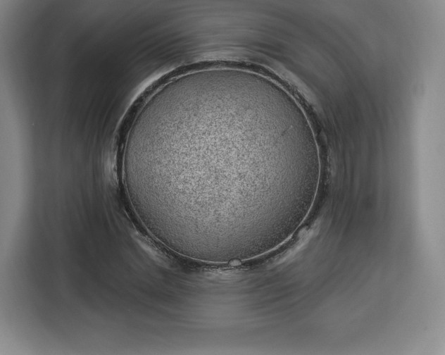 X0000112920830200908311255