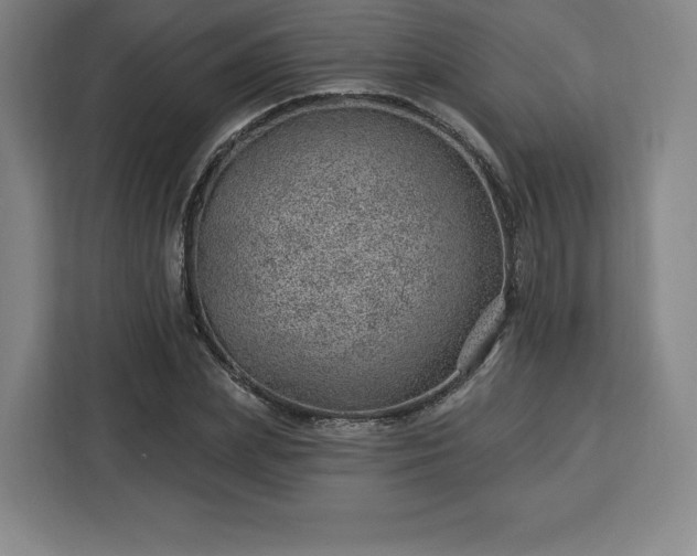 X0000112920831200908311255