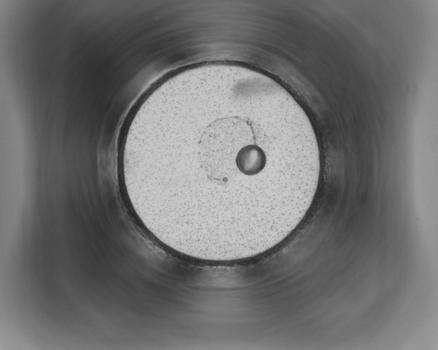 X0000112920836200908311255