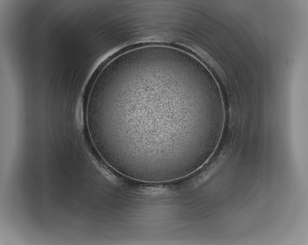 X0000112920838200908311255