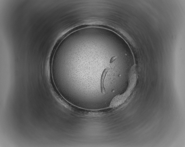X0000112920840200908311255