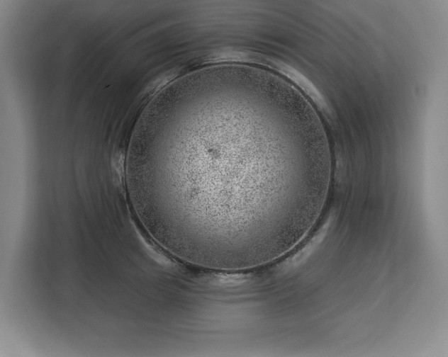 X0000112920849200908311256