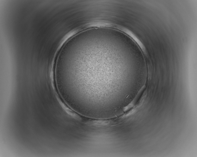 X0000112920861200908311256